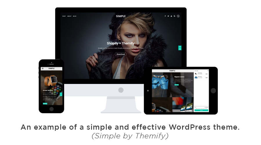 Simple WordPress theme by Themify